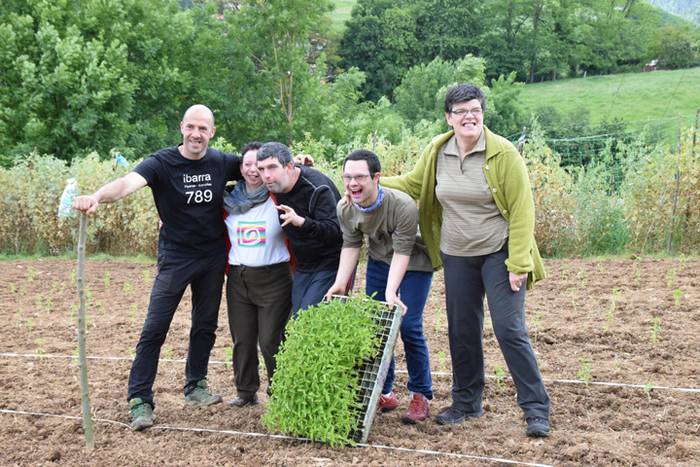 Piper landaketa uzturpe gureak  789 taldea 33 1464793778530