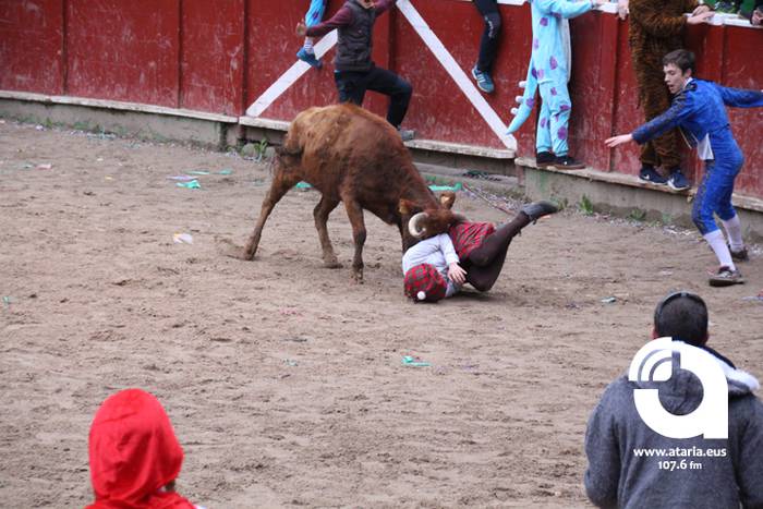 Zezenak adarrak okerrak ditu 54 1488277471396