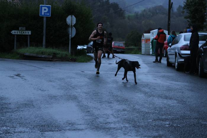 Zizurkil, txakur krosa 43 1490474055218