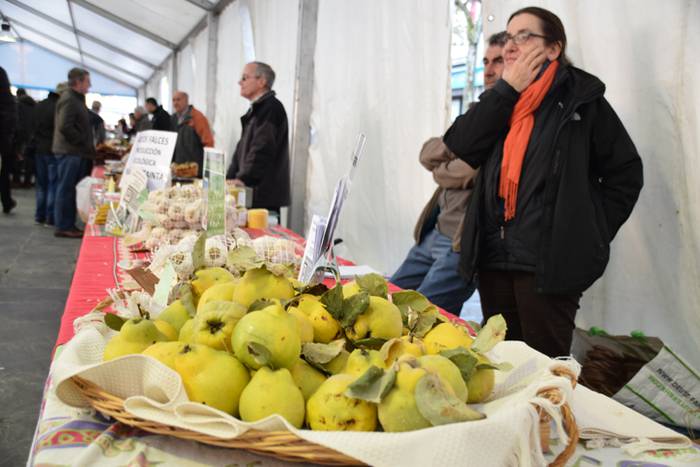 Babarrunaren Festa 2016 59 1479567850035