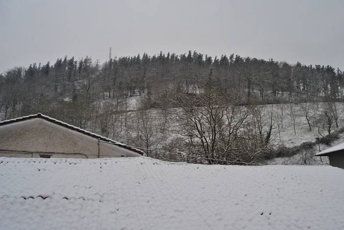 Argazki galeria: Tolosaldea, 6 1519809676098