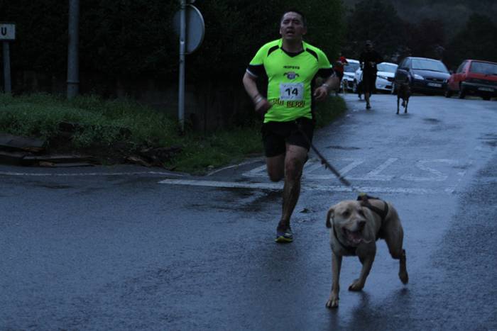 Zizurkil, txakur krosa 47 1490474074413