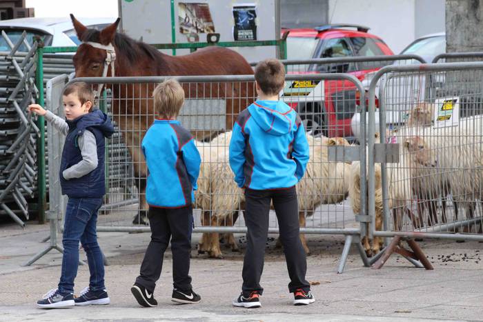 amezketako herri azoka berez 12 1542621145399