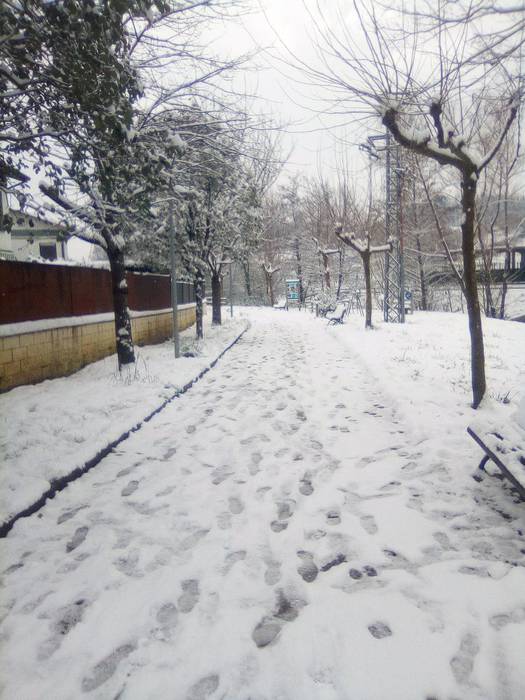 Argazki galeria: Tolosaldea, 71 1519813410136