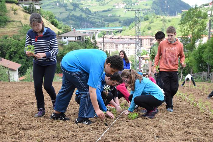 Piper landaketa uzturpe gureak  789 taldea 29 1464793777140