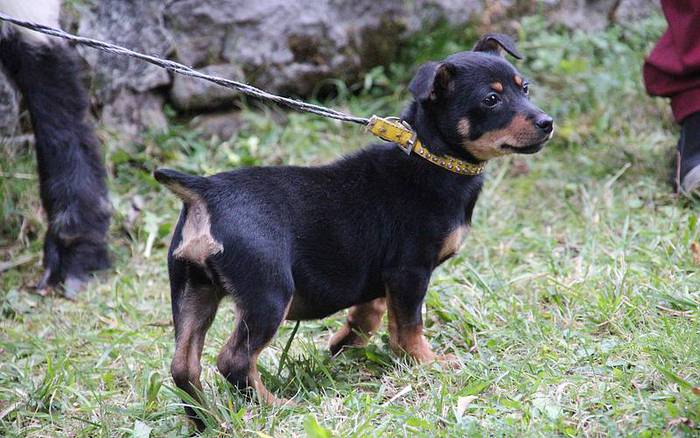 san anton berastegi 2016 3 1453114656661