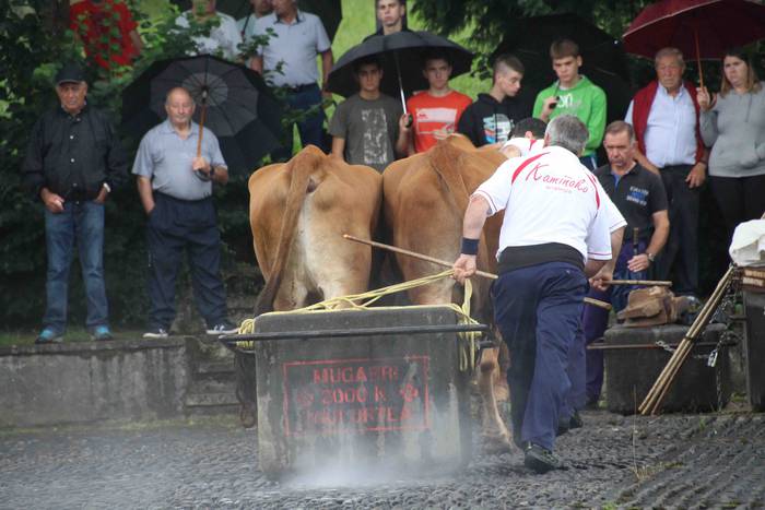Zizurkil festak 2018 xiba et 31 1534452683494