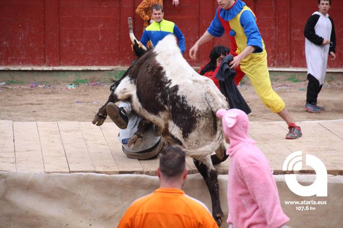 Zezenak adarrak okerrak ditu 90 1488277674473