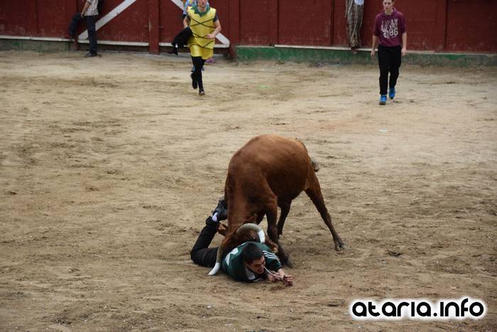 Pattar zezena 2016 46 1455012400144