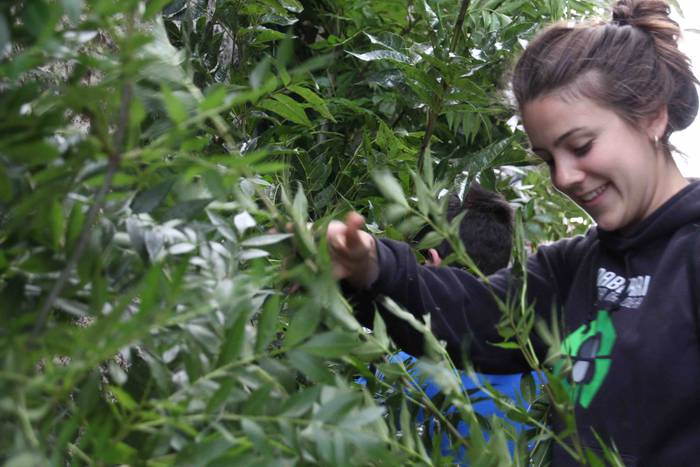 udaberri 24 33 1529828190102