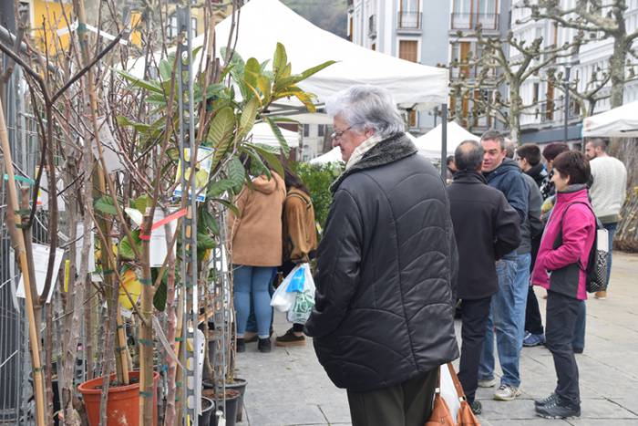 Zuhaitz Azoka, Tolosa, 2017 1 1486819565965