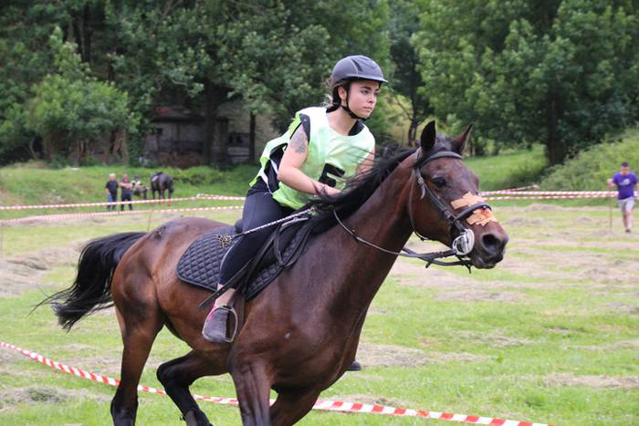 Zaldien gainean lehian 34 1497207307980