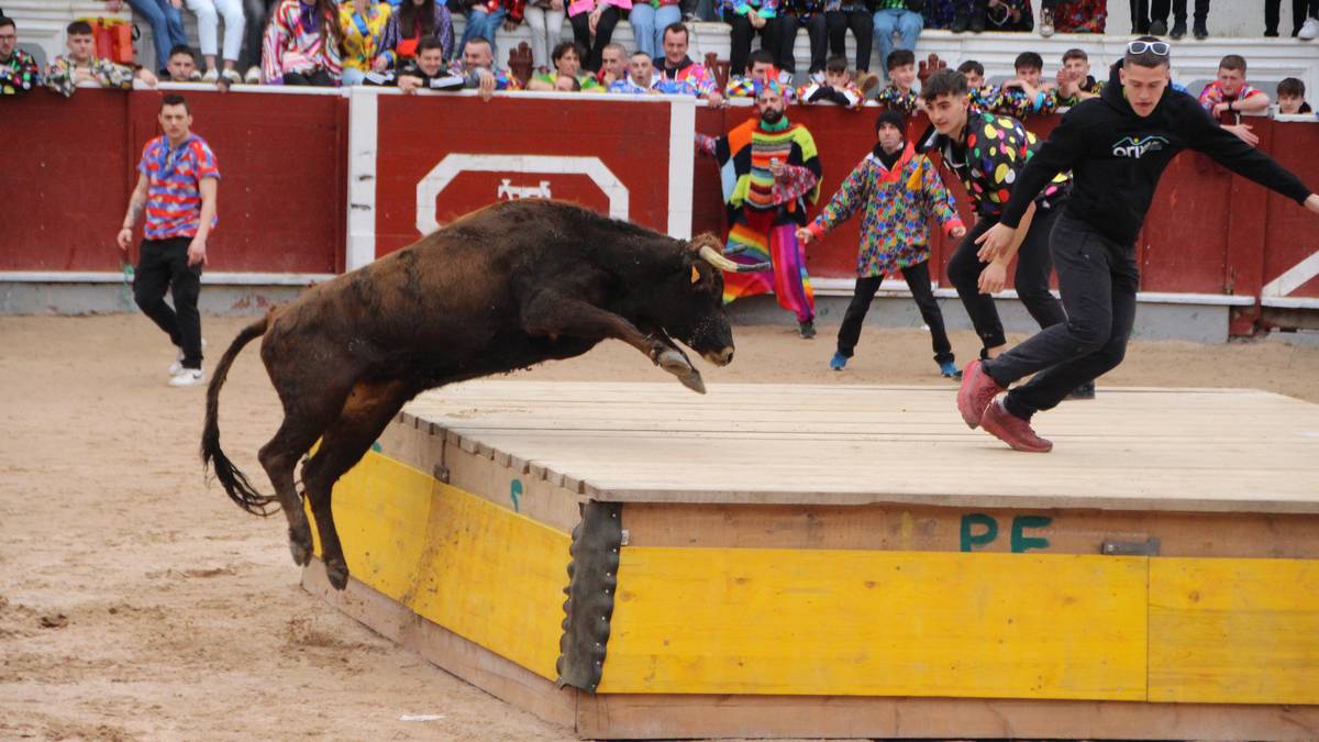 Inauterietako zezenen ekitaldiak, zalantzan