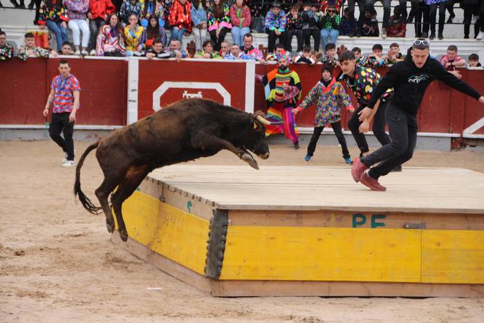 Inauterietako zezenen ekitaldiak, zalantzan