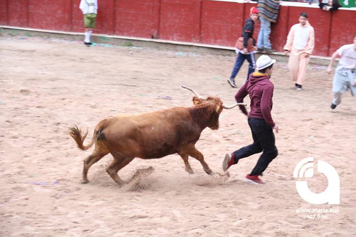 Zezenak adarrak okerrak ditu 44 1488277408955