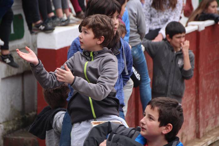 Txaranga eta zezenak piñata  1 1488738722136