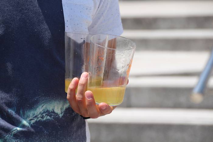 Blusen Eguna 2016 Zizurkil 13 1468088383274