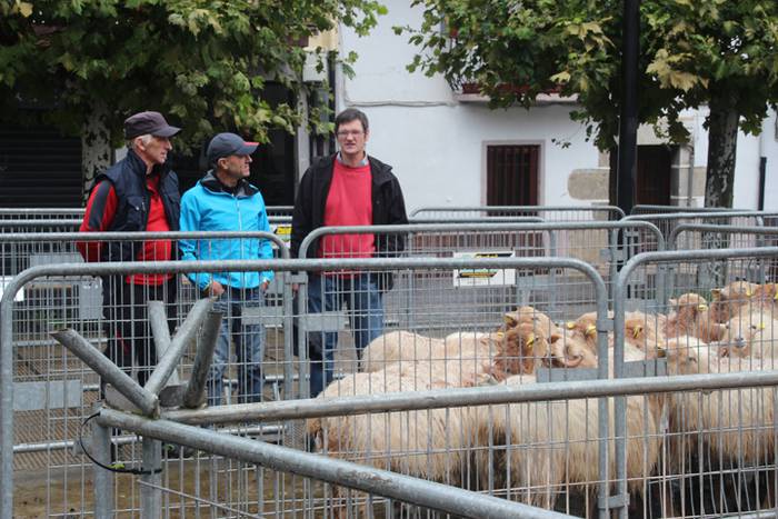 Larrunarri dotore jantzi dut 34 1509894146890