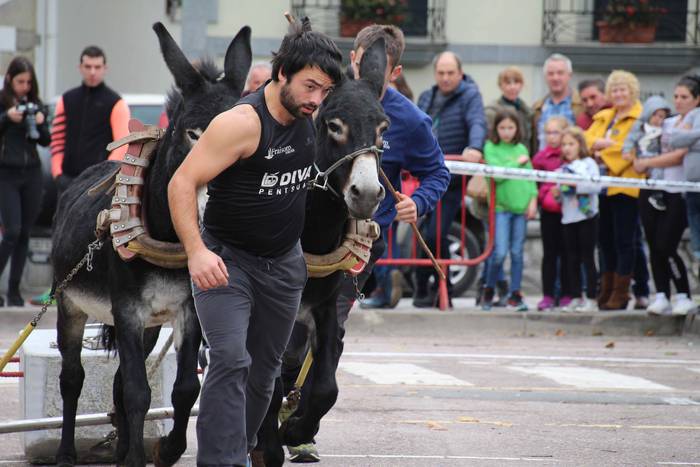 Idiek irabazi diete astoei A 18 1541962144702