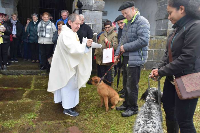 Animaliek jaso dute San Anto 17 1547722522934