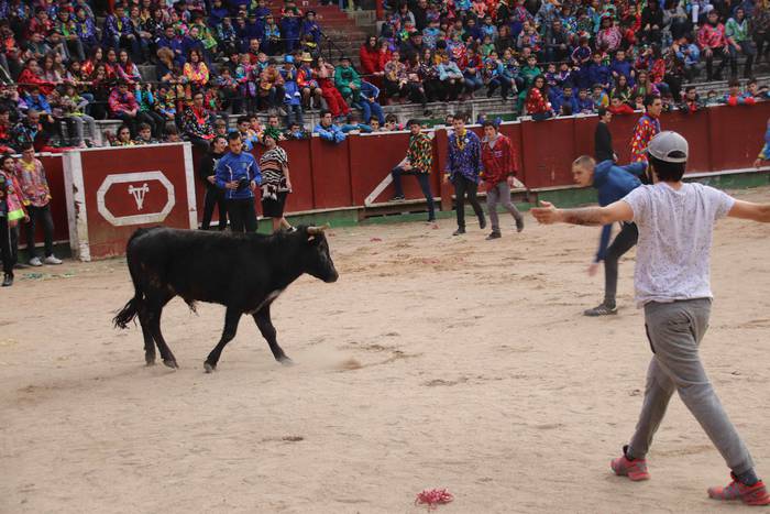 Lehenengo zezen festa, prime 26 1551375079956