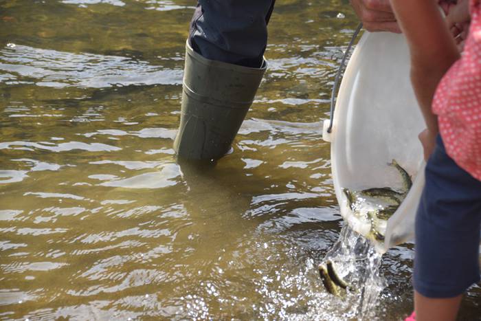 Izokinkumeak, Orian 27 1500724852325