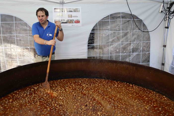 Perretxikoen plaza 3 1666439560571