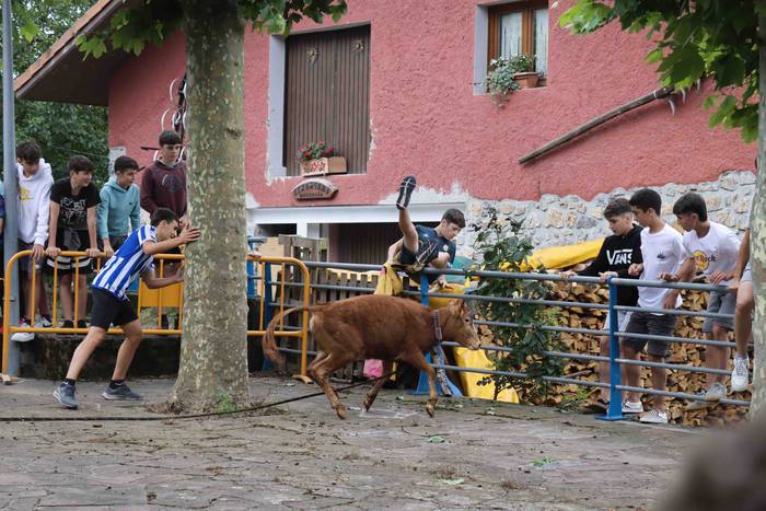 Zezen txikien aurretik 4 1656263612160