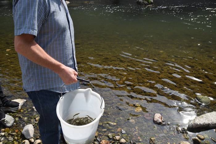 Izokinkumeak, Orian 25 1500724839139