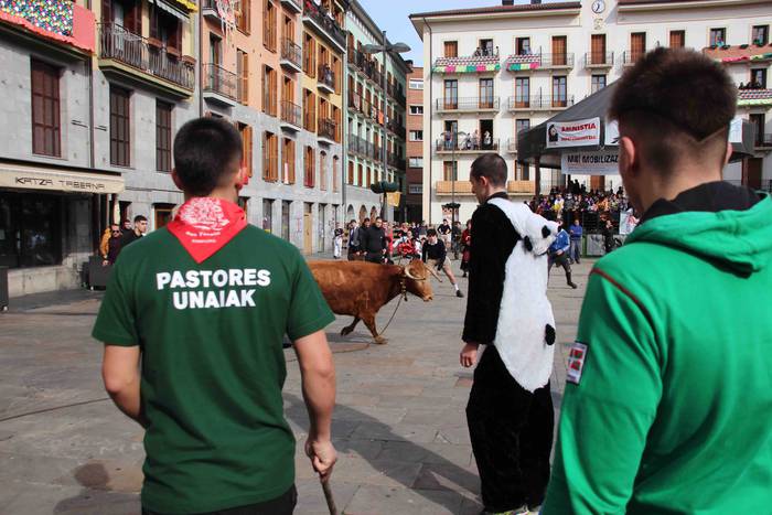 Soka zintzilik eta muturrak  48 1646140704370