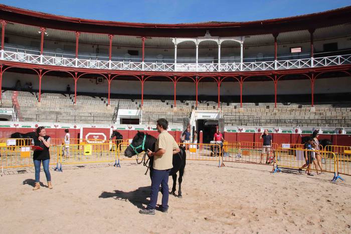 pottoka topaketa tolosa 7 1537627077168