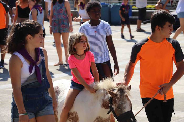 Festak hasteko, poniak eta z 39 1566993994979