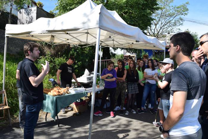 Piper landaketa Ibarran, 201 8 1494844295108