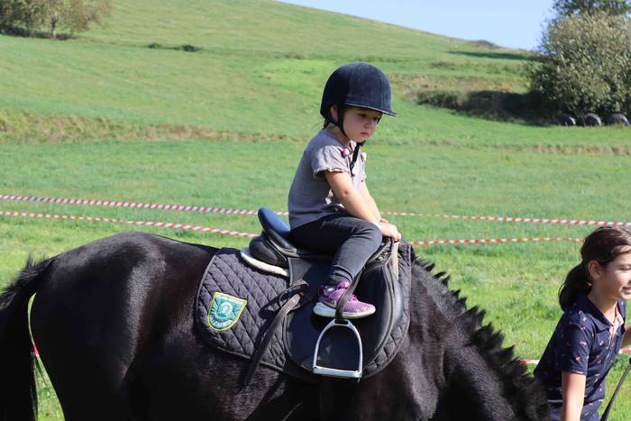 Zizurkilgo herrigunea azoka  45 1665320454831