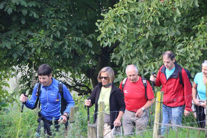 2016 bidea 9 1471775808146