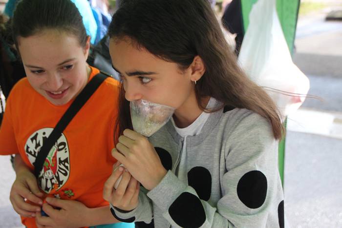 Zizurkilgo Ugare Festak haur 22 1527942094739