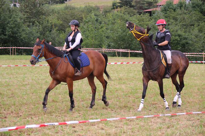 Zaldiak lasterka, gazteak desafioan 12 1472406549470