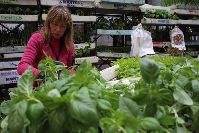 Eta liliek Tolosa ere amets 35 1495290402536