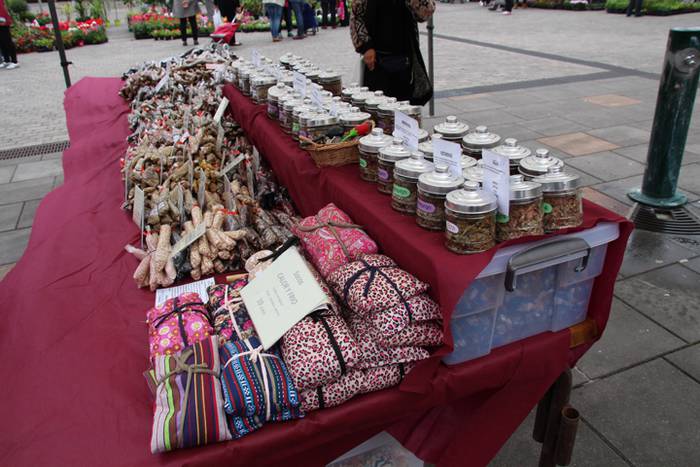 Lore eta Landare Azoka Tolosan 2016 23 1465051790580