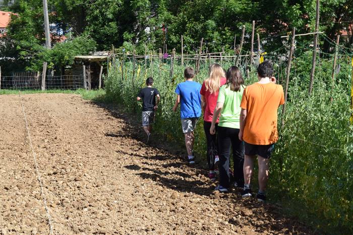 Piper landaketa Ibarran, 201 26 1494844416152