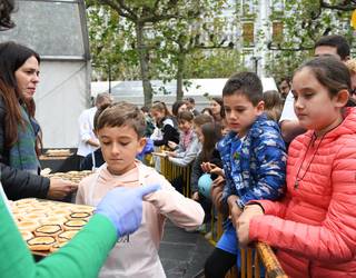 Tolosa goxoaren tenplua, berriro ere