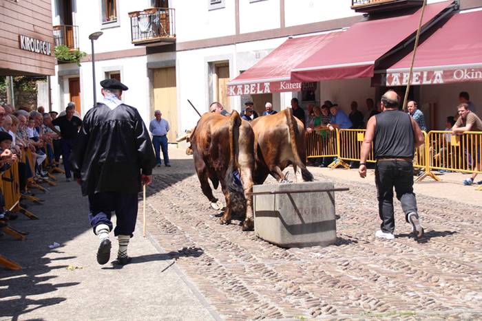 Idi erakustaldia Asteasuko p 12 1494859857731