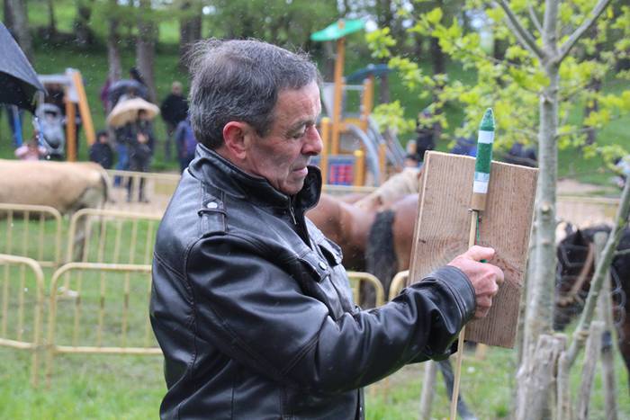 Aralarko larre irekiera 72 1462122148239