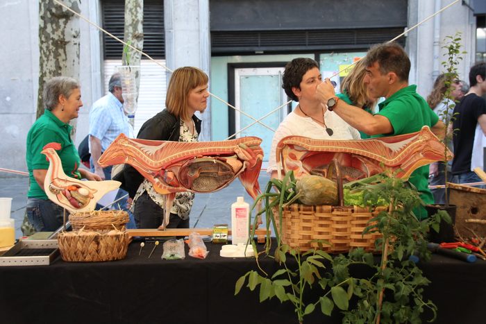 Erakusleiho bizi bat, lanbid 10 1524316788627