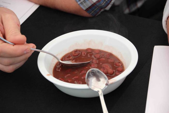 Tolosako Babarrunaren Festa  27 1542467450641