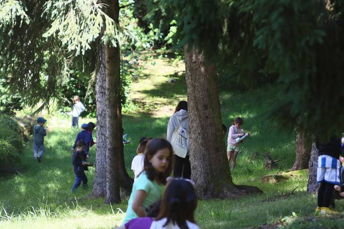 Elosegi parkeko biodibertsit 10 1559225131591