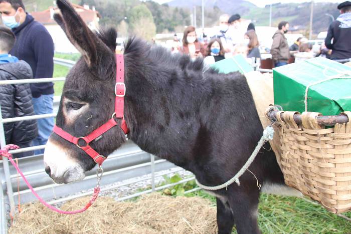 Zirkuan egiten ari dira harr 18 1608821718658