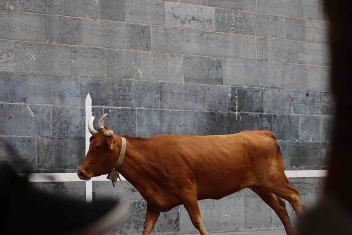 Aurtengo azken lasterketa 36 1659294964771