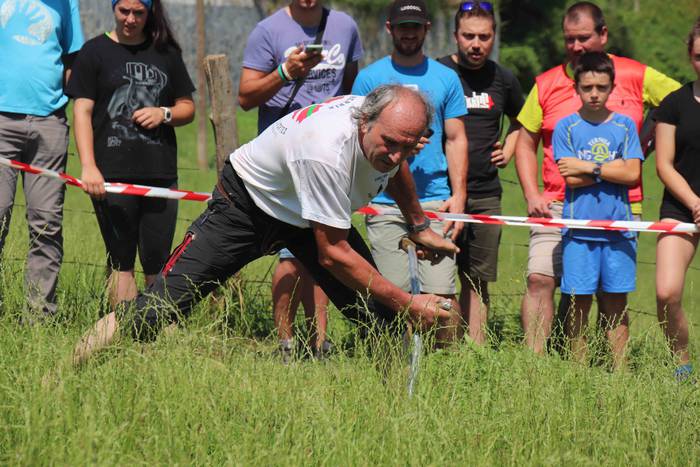 Erabaki dira Euskal Herriko  67 1532870860425