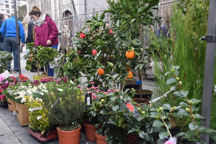 Zuhaitz Azoka, Tolosa, 2017 5 1486819591008